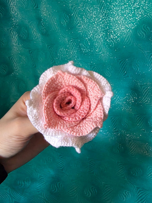 Ombré Rose