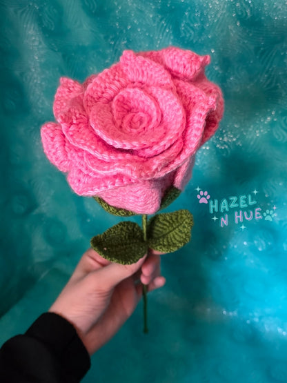 Large Rose